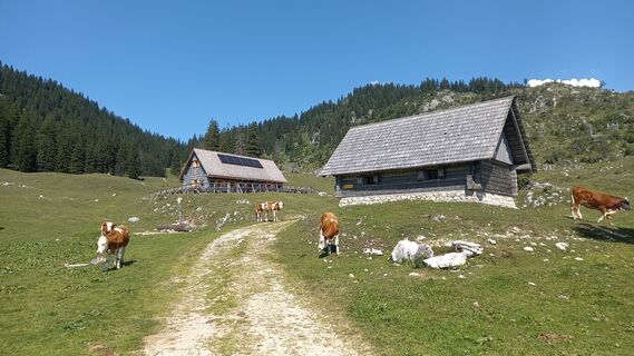 Fotografie z TeufelChristian na trase
