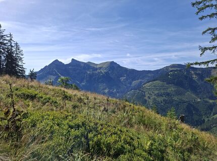 Photo de kstb le long du parcours