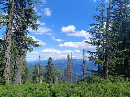 Foto de Žaneta Schelling a lo largo del recorrido