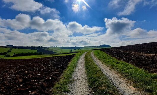 Foto von zirberl entlang der Tour