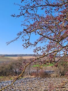 Photo de greinerin le long du parcours