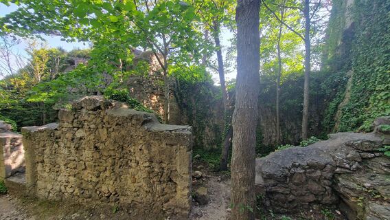 Photo de Claudia Maurer le long du parcours