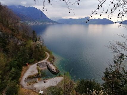 Fotografija s spletne strani luyyy na poti
