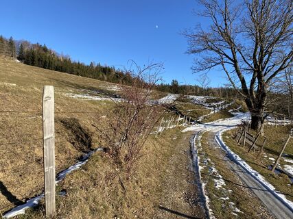 Photo de Verena Oberleitner le long du parcours