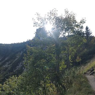 Foto von Bibergfex entlang der Tour