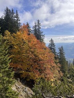 Foto de Andreas Grund a lo largo del recorrido
