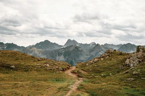 Alpenrosensteig vom Fisser Joch