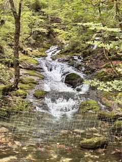 Fotografia z Gyula Gerecs na trase