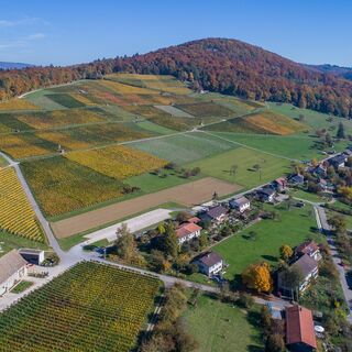 Osterfingen