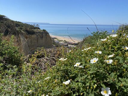 Foto von Ursula Müller 1 entlang der Tour