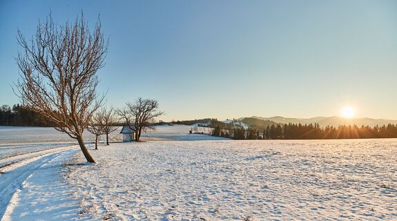 Laaben im Wienerwald im Winter
