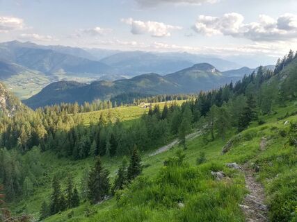 Bärenfeichtenalm
