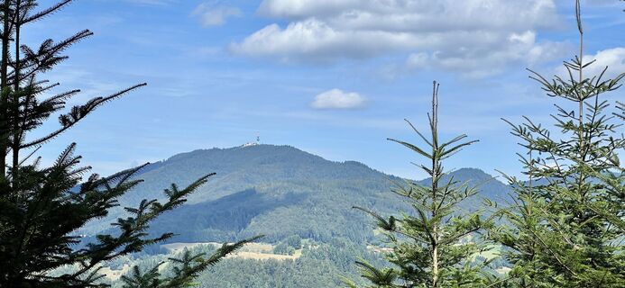 Foto von Volki F. entlang der Tour