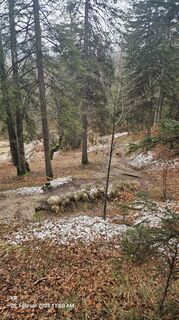 Foto von Klaus Reinhold entlang der Tour