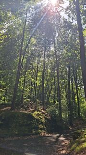 Foto von Torsten Sledz entlang der Tour