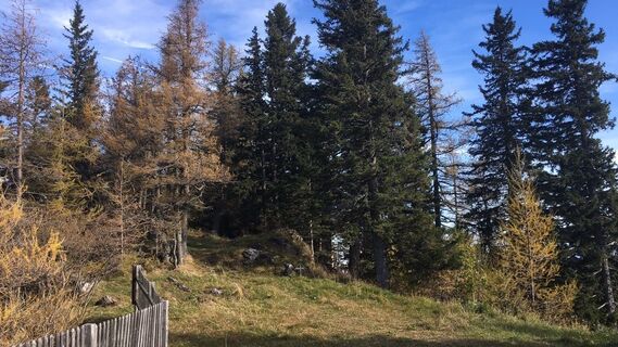 Foto från Lomalinda under resans gång