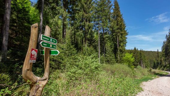 Wegweiser Wanderung zur Schlossbergkanzel, Lütschetalsperre