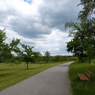 Obstbaumwiesen rund um Martinsmoos_1