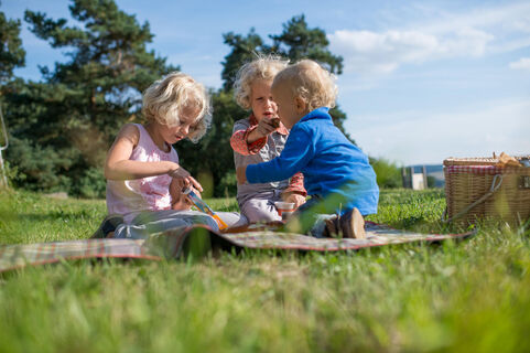 Naumburg 2012 08 27 Picknick Kinder Warte