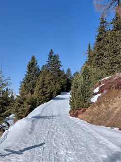 Photo de Sabine Steuxner le long du parcours