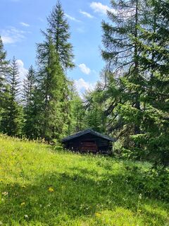 Foto von Andrea Treichl entlang der Tour