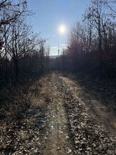 Photo de Roland Peti le long du parcours