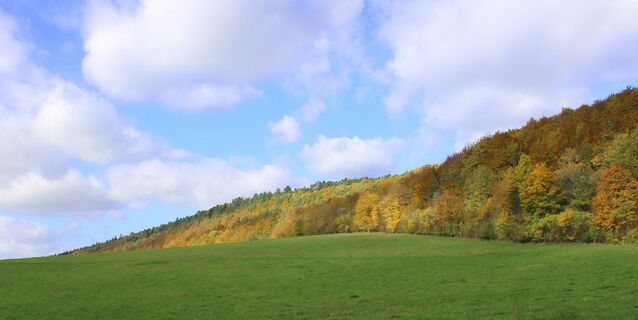 Aufstieg zu den Hörselbergen im Herbst