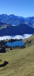 Fotografija s spletne strani Ineswanki na poti