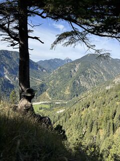 Fotografija s spletne strani Anton Niklas na poti