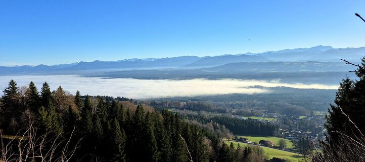 Фото с сайта Thomas Schekira во время экскурсии