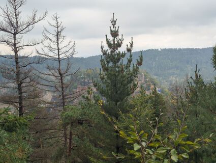 Fotografia z Mike Heinßmann na trase