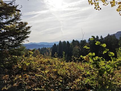 Foto von Xenia Lange entlang der Tour