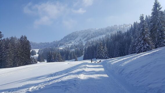 Idyllischer Winterwanderweg am Hochhäderich