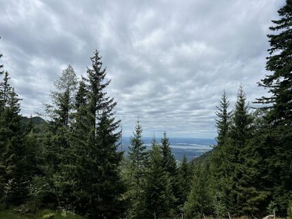 Foto de Leonarda Gauto-Feitl a lo largo del recorrido