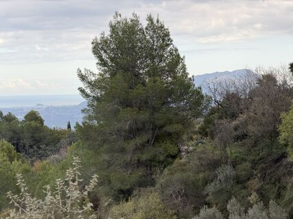 Photo de Guntram Hepperle le long du parcours