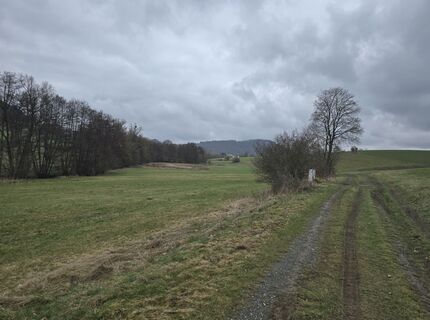 Foto de Sigrid Böhm a lo largo del recorrido