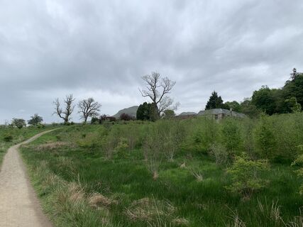 Photo de Gijs Hegeman le long du parcours