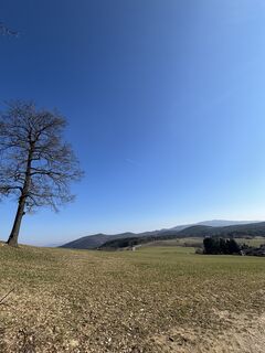 Foto de RS76 a lo largo del recorrido