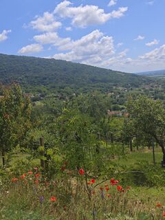 Fotografija s spletne strani Katona Ferk Mariann na poti