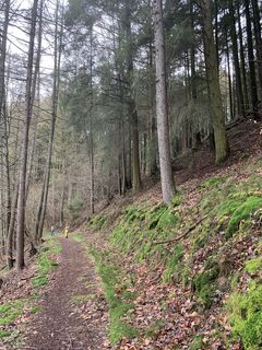 Photo from vieletausendkilometer along the tour