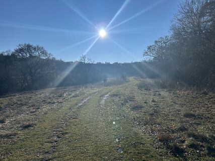 Fotografija s spletne strani Viktor Sárfi na poti