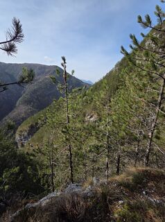 Fotografija s spletne strani Florian Dürnegger na poti