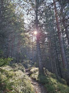 Foto von Mimi entlang der Tour
