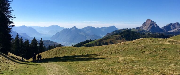 Panorama mit Pilatus, Rigi und Mythen