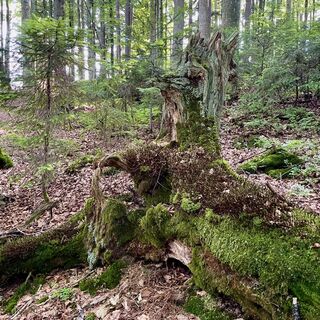 Foto von Ramon Schmidt entlang der Tour