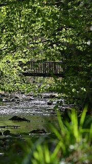Elpebach in Ostwig
