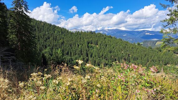 Foto von Anna Wilding entlang der Tour