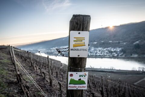 Moselsteigbeschilderung bei Winningen
