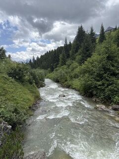 Foto von Grizzli entlang der Tour