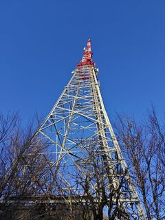 Photo de Sabine le long du parcours